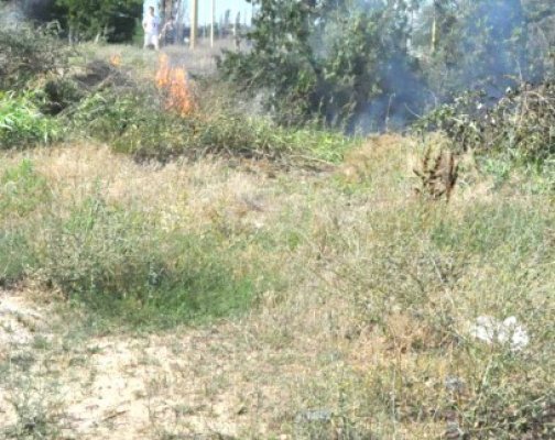 Incendiu lângă mănăstirea Adâncata